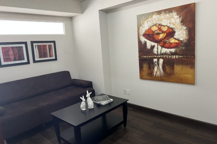 Suite Ejecutiva Polanco CDMX | St. Isidro Corporate Housing